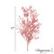 Uniquewise Preserved Real Floral Stems Chic Vase Fillers & Accents for Bouquets Centerpieces & Ornamental Displays Ideal for Home Office Boutique Cafe Resto Bar and Event Decor
